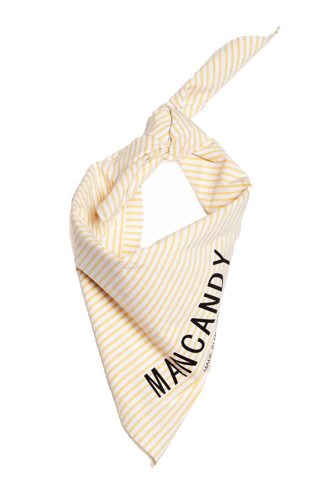 Cowboy Bandana